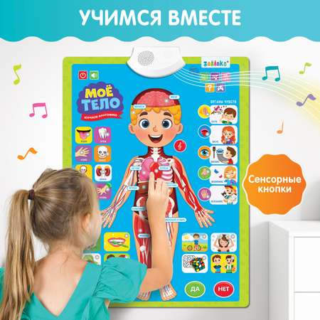 Обучающий плакат Zabiaka Моё тело