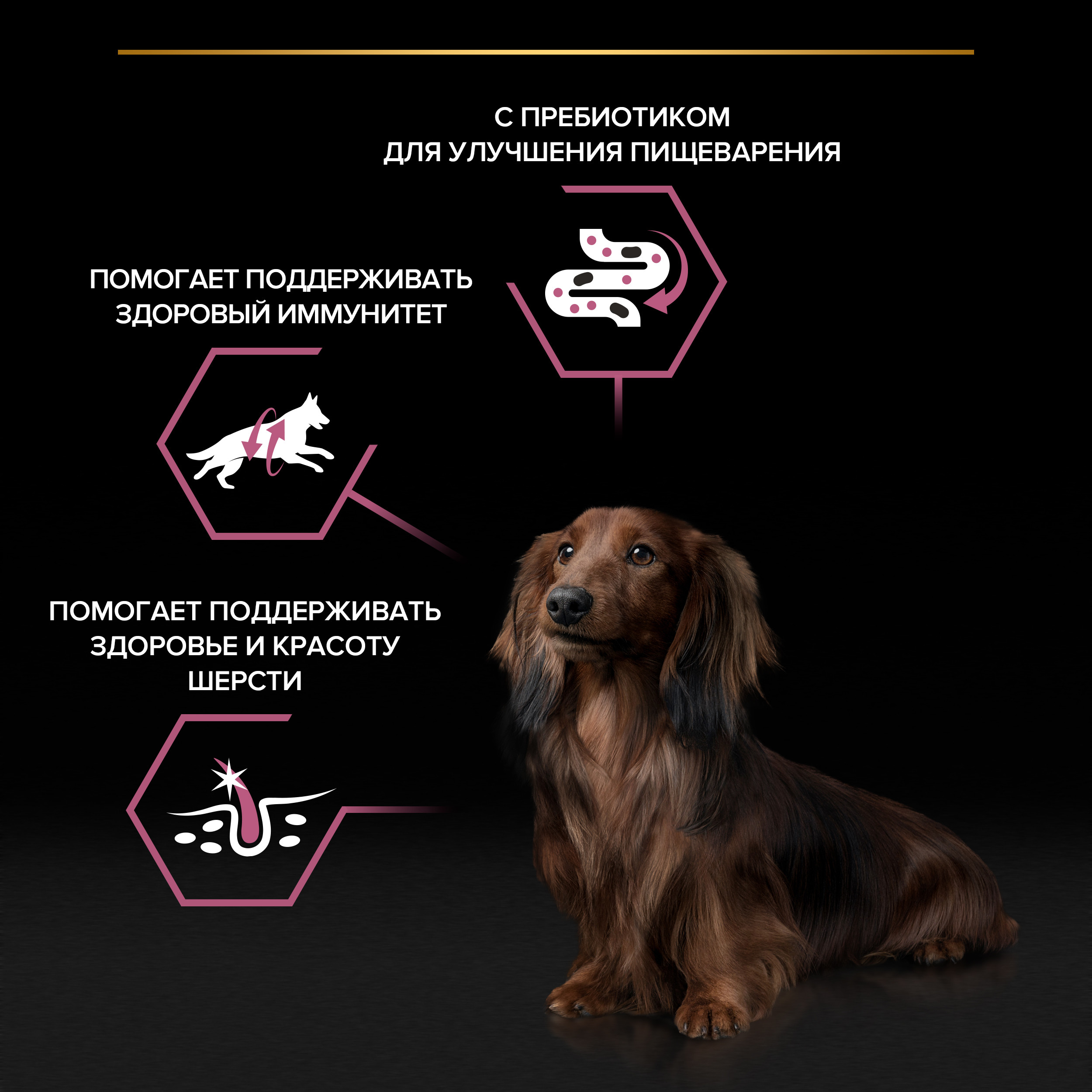 Корм влажный для собак PRO PLAN 85г с лососем в соусе для мелких и карликовых пород - фото 2