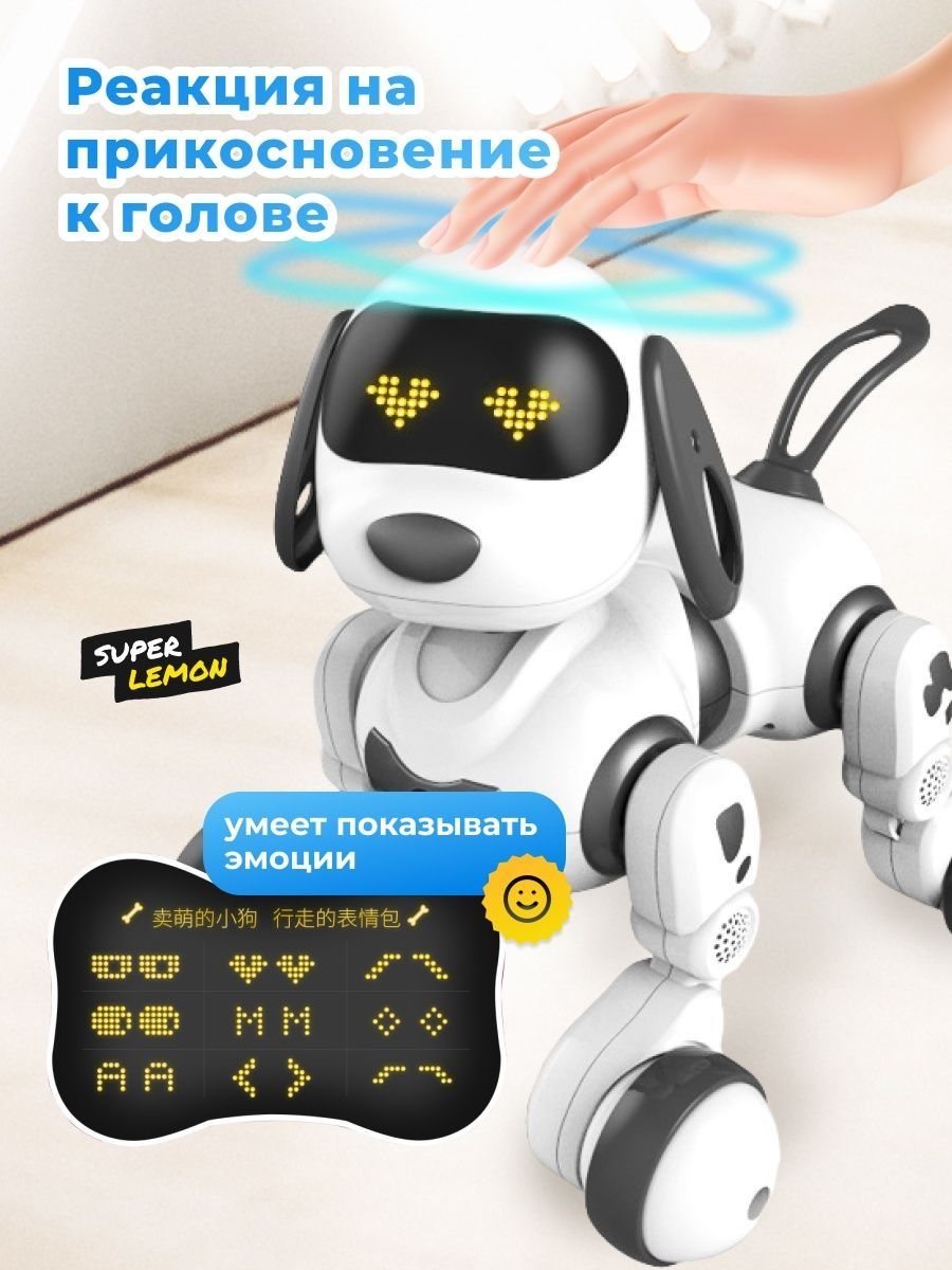Собака РУ Super Lemon - фото 2