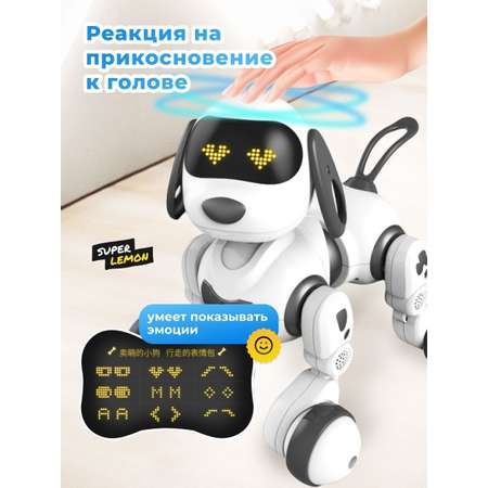 Собака РУ Super Lemon