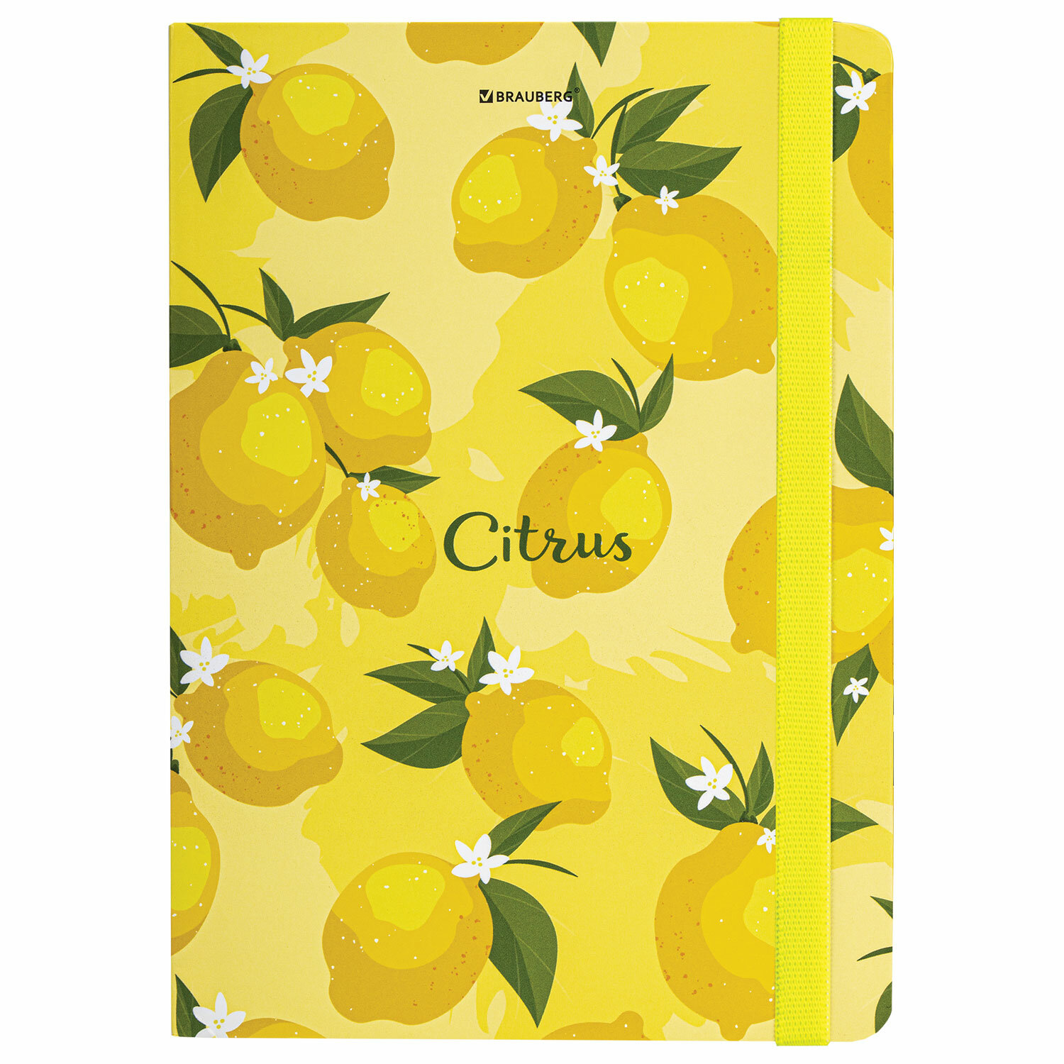 Блокнот Brauberg 96 лист. - фото 7