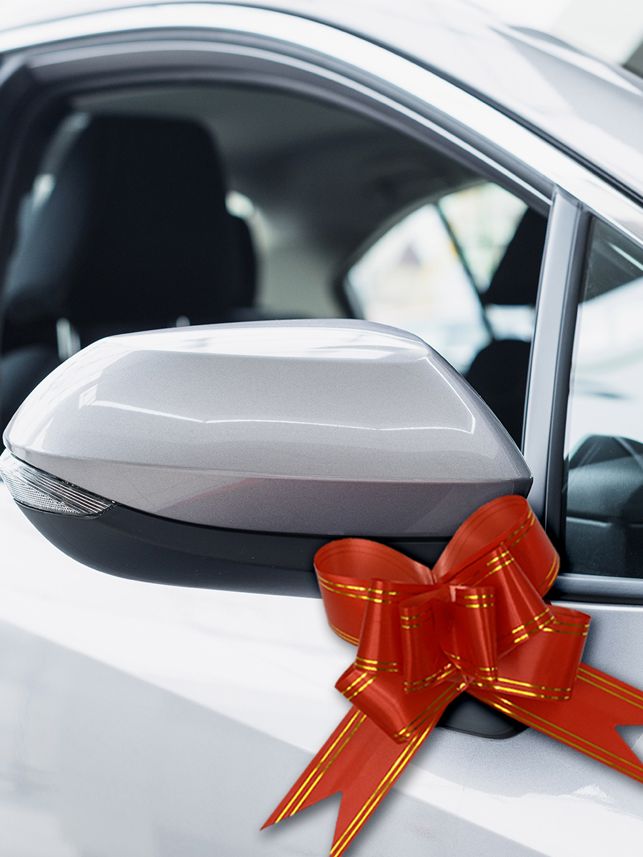 Набор бантиков AXLER для подарков 10 шт - фото 8