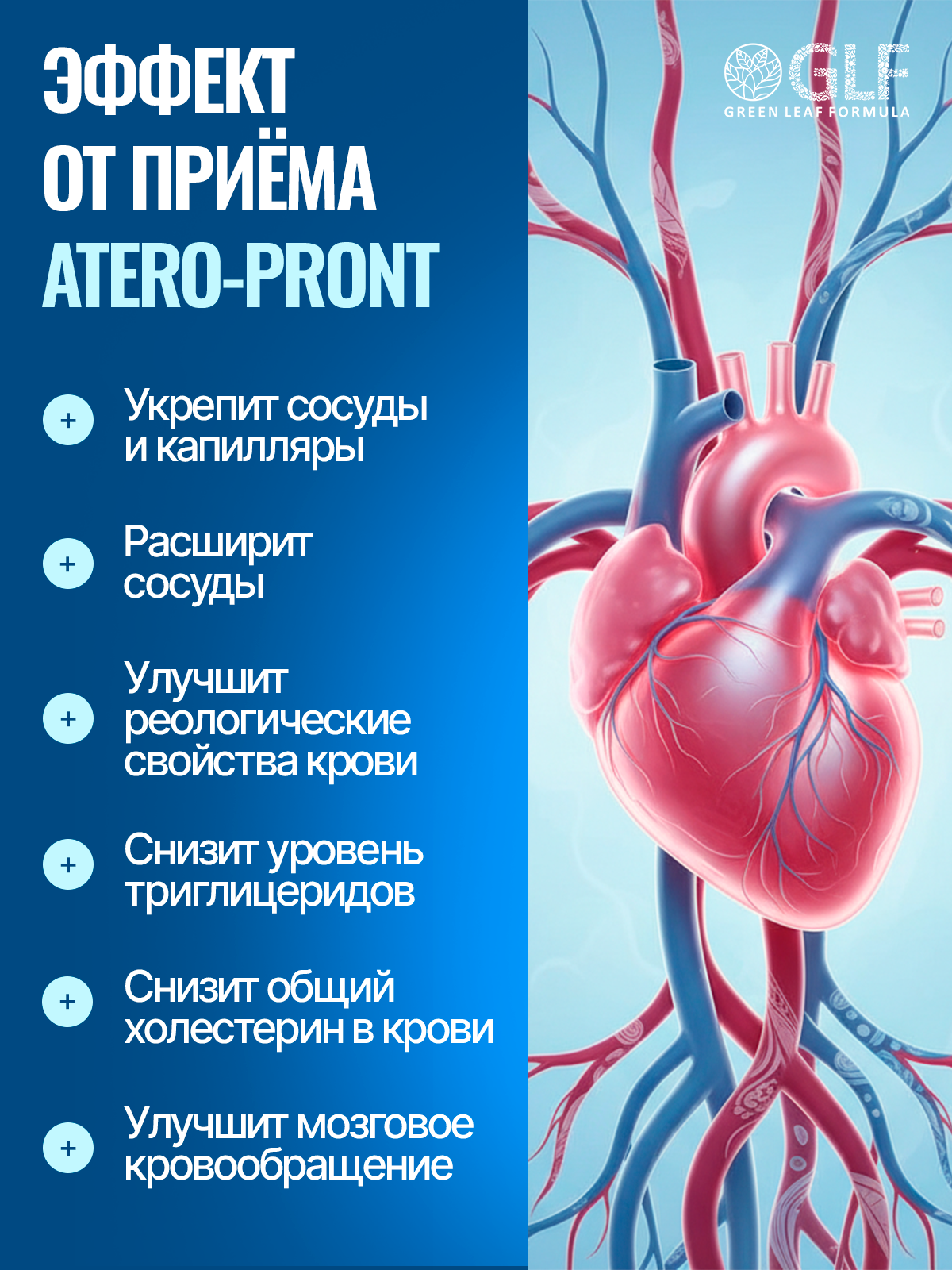 Витамины для сердца и сосудов Green Leaf Formula для мозга и нервной системы для спорта 790 мг 60 капсул - фото 3