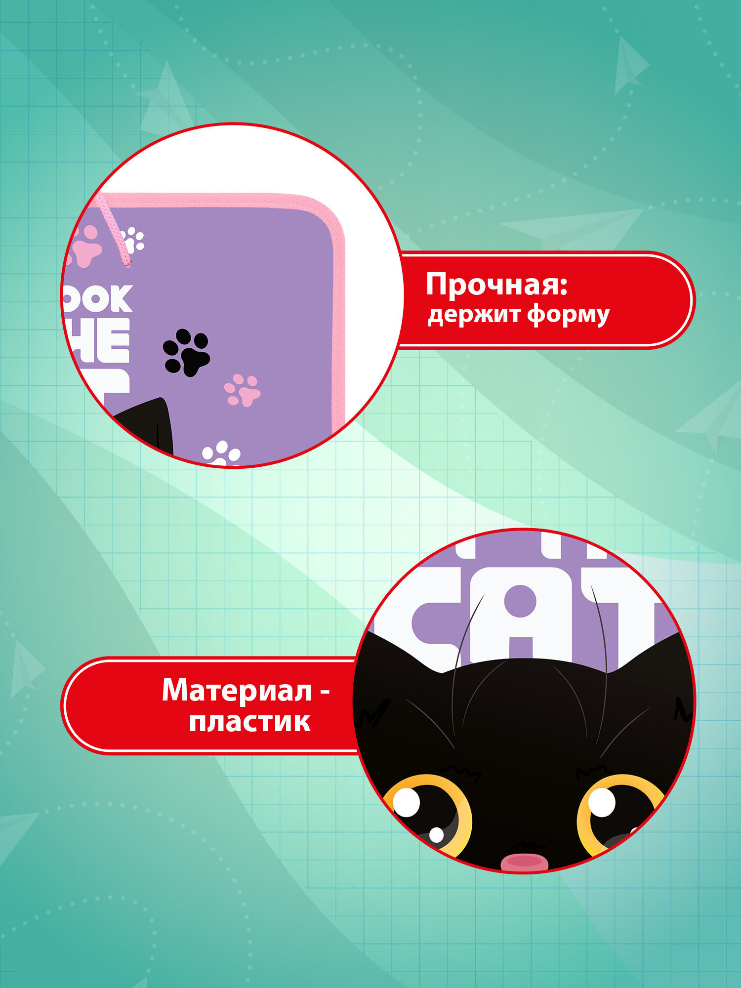 Папка для тетрадей Пифагор наблюдательный кот А4 - фото 3