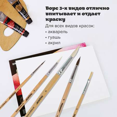 Кисть Пифагор 5 шт. (коза, пони, щетина)