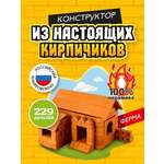 Конструктор BRICKMASTER Ферма из мини-блоков 229 дет.