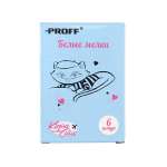 Мел сухой Proff 6 шт.