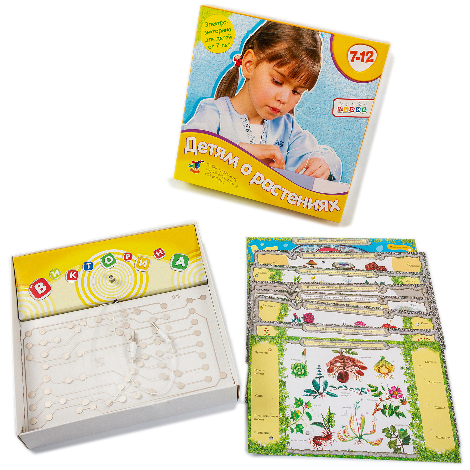 Настольная игра Дрофа-Медиа Электровикторина - фото 7