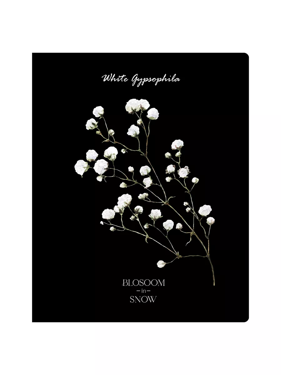 Тетрадь BG клетка 48 лист. 4 шт. - фото 7