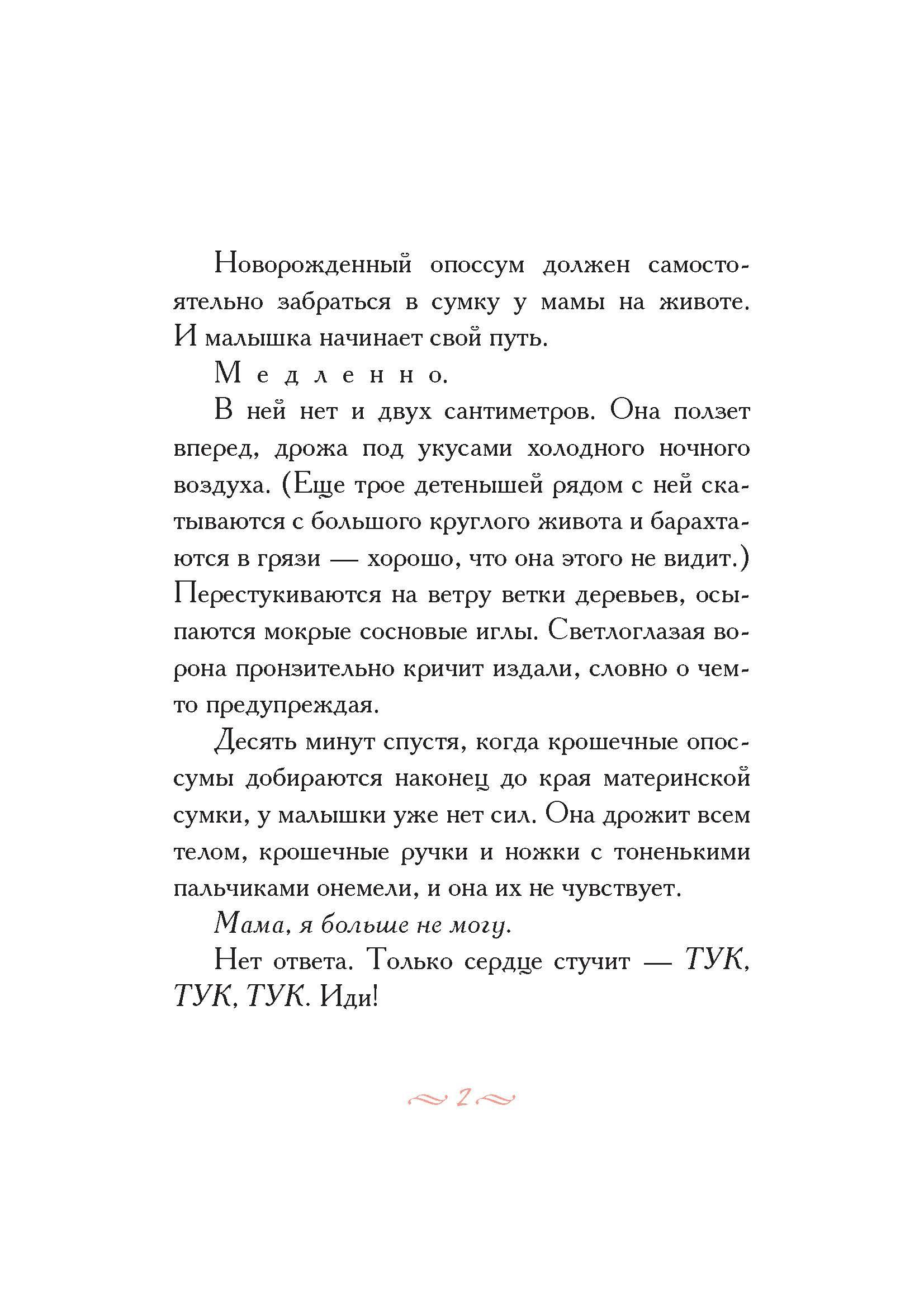 Книга Издательство Карьера Пресс Опоссум по имени Апельсинка - фото 6