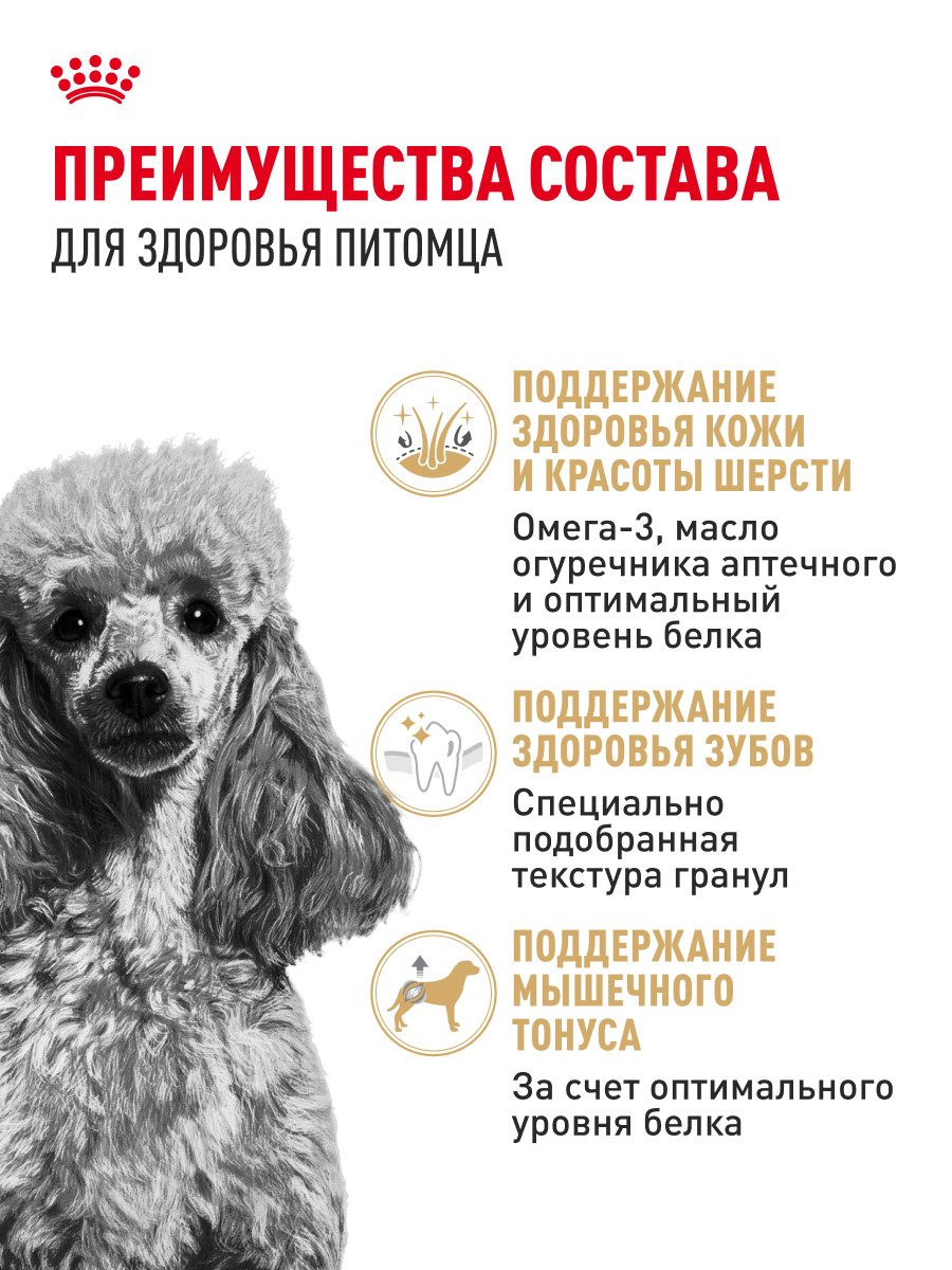 Корм для собак ROYAL CANIN Poodle Adult Пудель Эдалт сухой для взрослых собак породы пудель 1.5кг - фото 3
