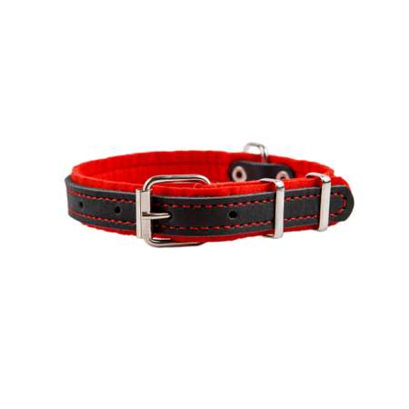 Ошейник для собак Arkon 22-30см Красный