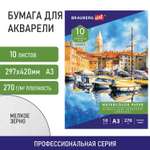 Художественная бумага Brauberg для акварели 10 лист.
