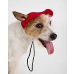 Кепка для собак и кошек Зоозавр