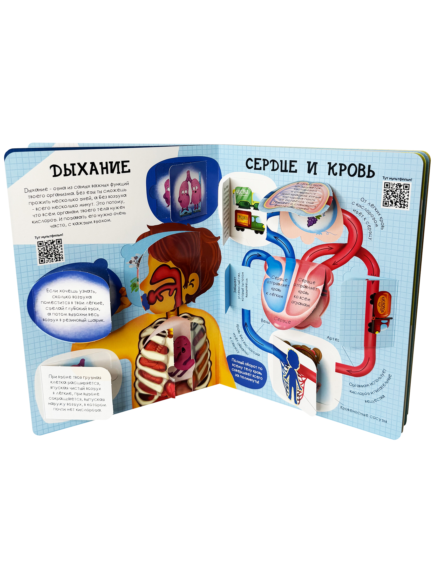 Энциклопедия с окошками БимБиМон книга детская - фото 10