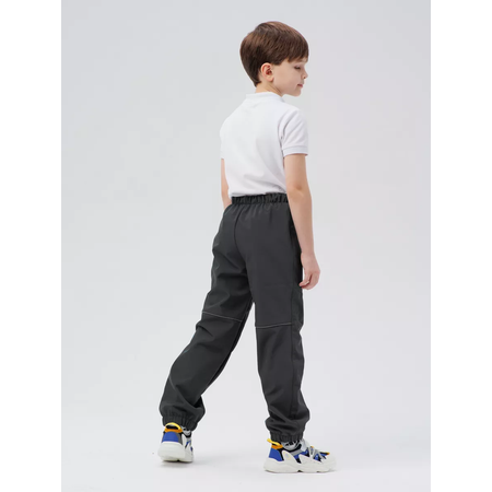 Брюки Lemonwear