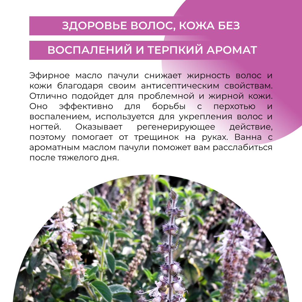 Масло Siberina Пачули - фото 6