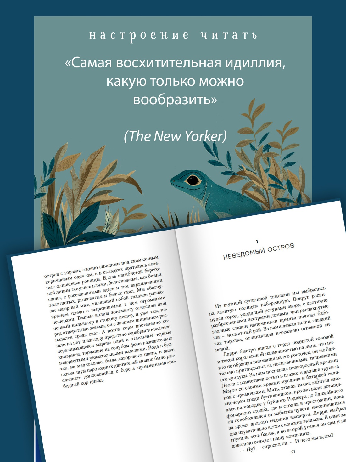 Книга АЗБУКА НастрЧит Даррелл Дж Моя семья и другие звери - фото 8