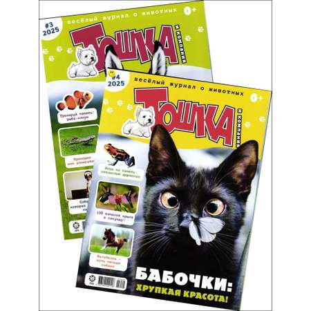 Набор журналов ИД Лев Детские журналы