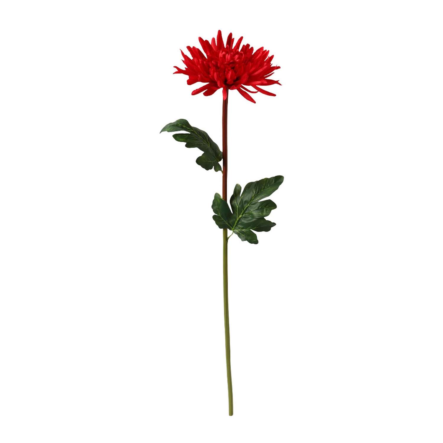 Цветы искусственные Poetry in Flowers Астра пионовидная бордовая - фото 1