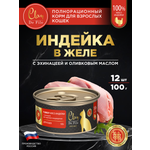 Корм влажный для кошек Clan De File Индейка филе в желе ж/б 100г 12 шт