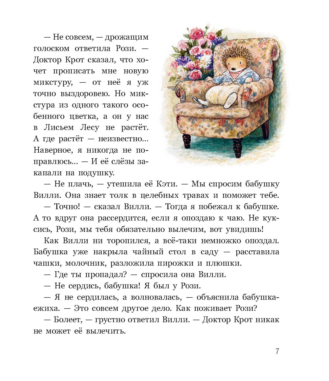 Книга Стрекозa Заколдованная долина - фото 6