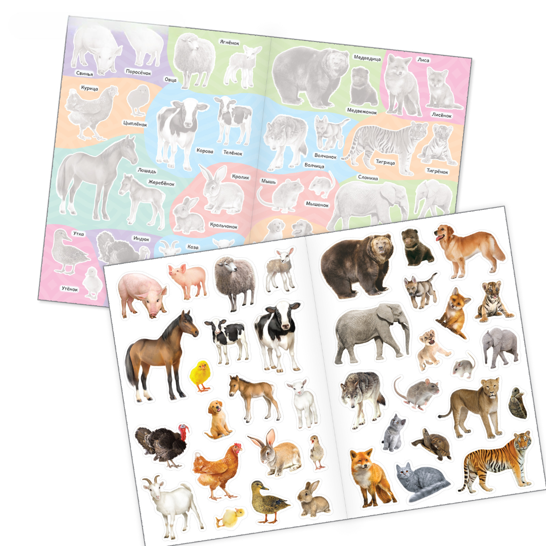 Альбом Буква-ленд - фото 2