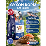 Корм для кошек сухой Pronature Holistic Atlantic для кожи и шерсти на лососе с рисом 2кг