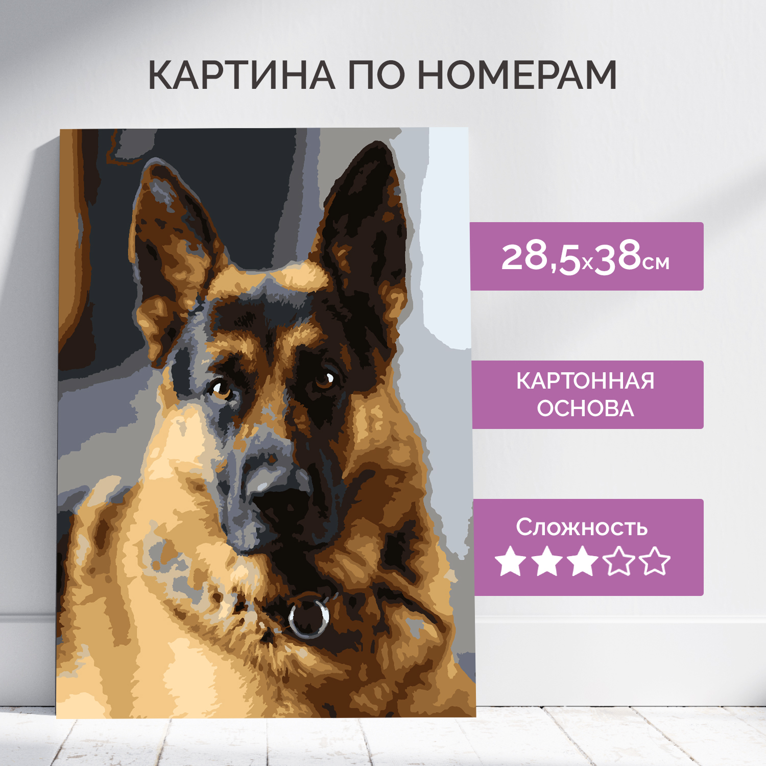 Картина по номерам LORI(колорит) Верный друг - фото 2