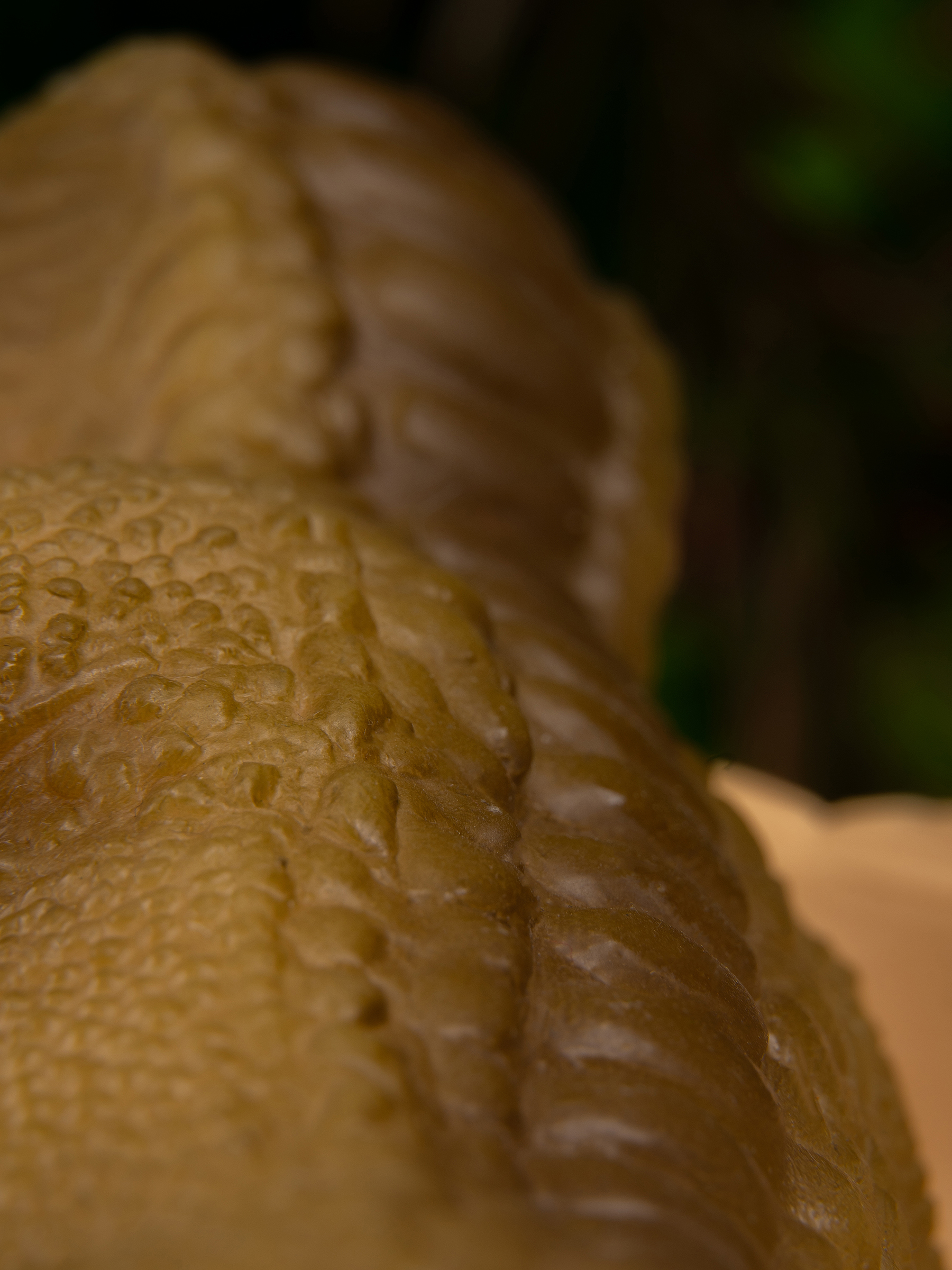 Кукла мини Magic Manufactory Magic Dino Игуанодон высота 22 см 4631163177443 - фото 24