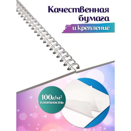 Альбом ШКОЛЬНЫЙ МИР Детский А4 40 лист. 2 шт.