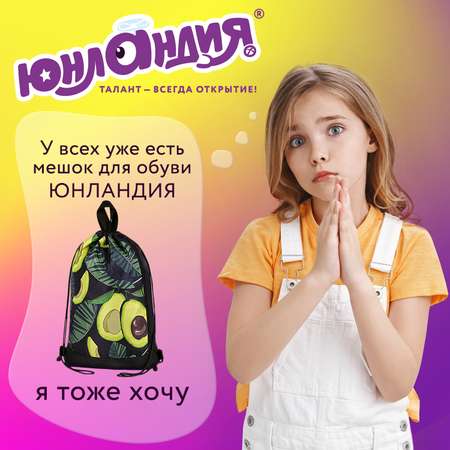 Мешок для обуви Юнландия