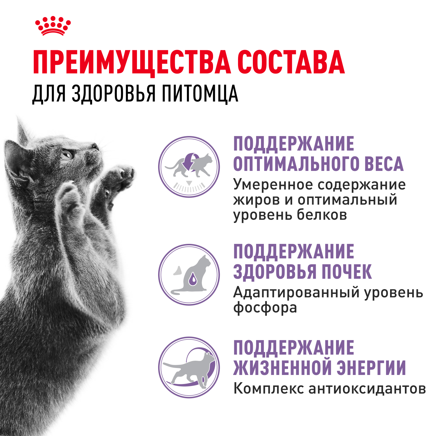 Корм сухой для кошек ROYAL CANIN Sterilised 400г пожилых стерилизованных - фото 3