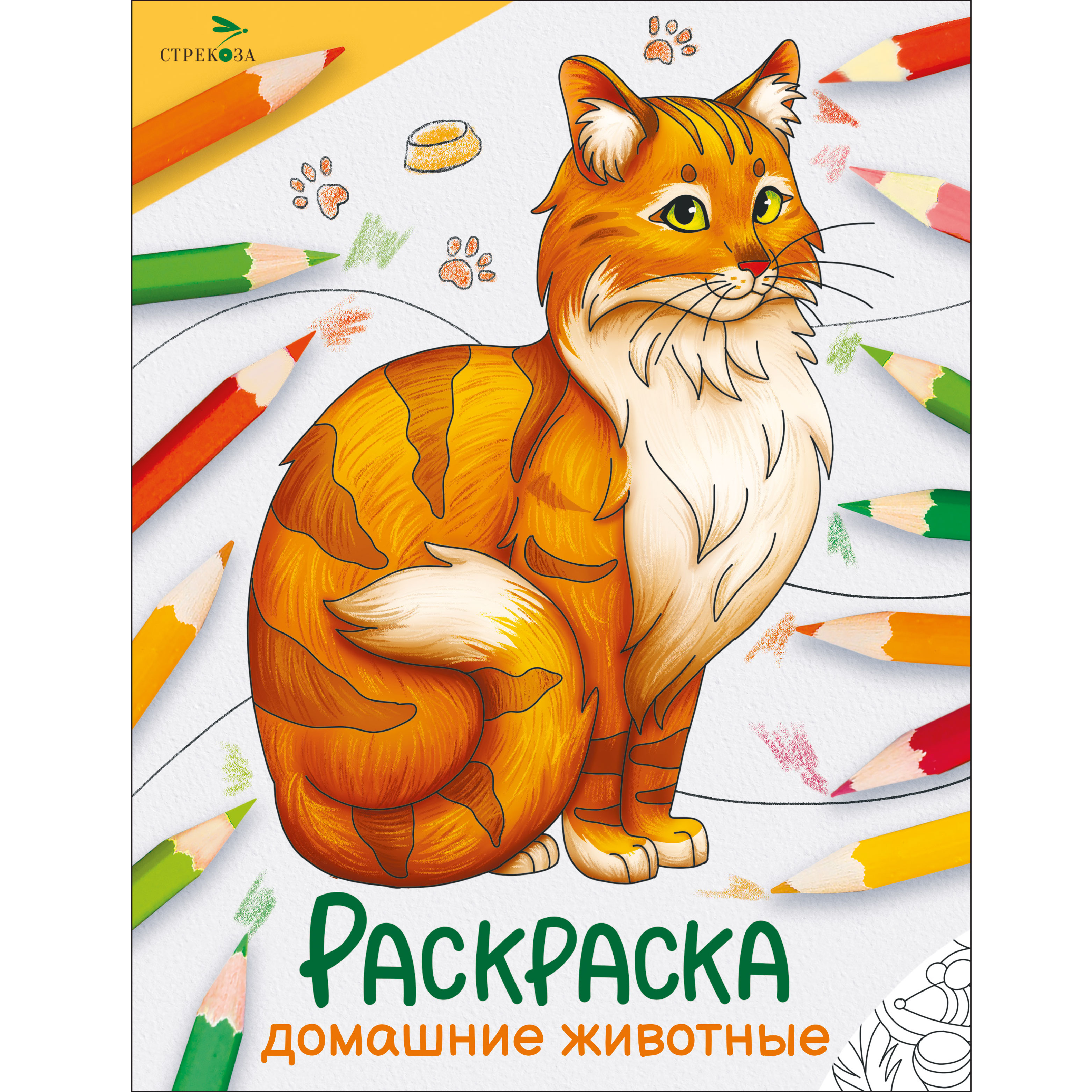 Раскраска Окружающий мир Домашние животные - фото 1