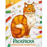 Раскраска Окружающий мир Домашние животные