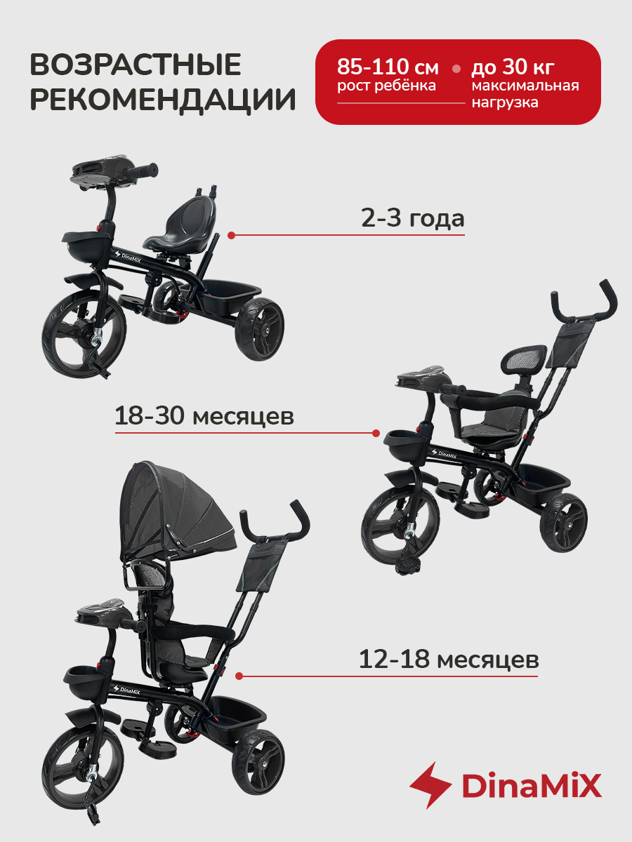 Трехколесный велосипед DinaMiX 10 дюймов - фото 4