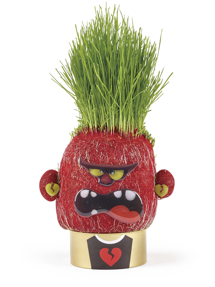 Набор для выращивания Hape - фото 3