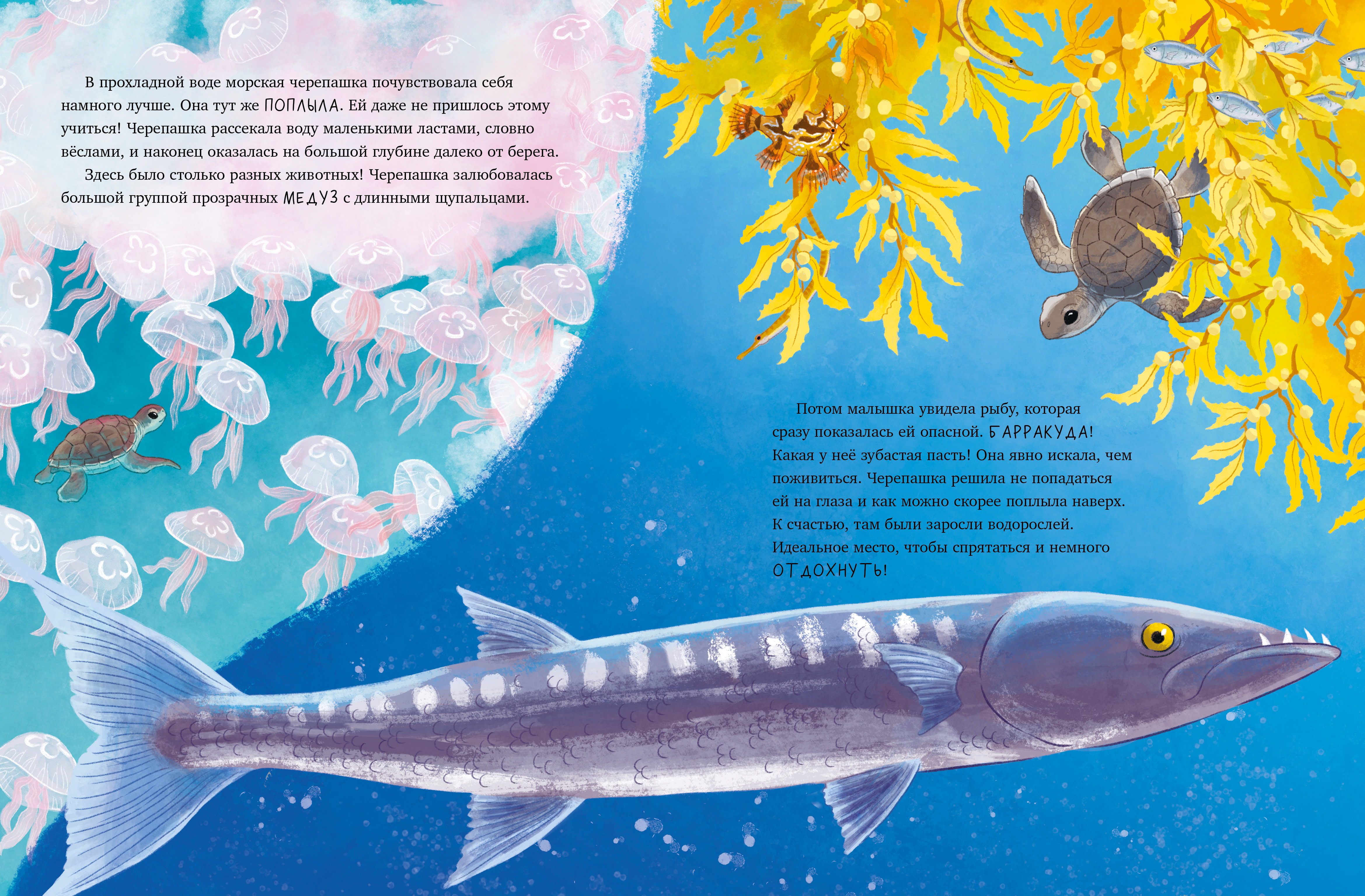 Книга Clever Маленькая черепашка. Приключения в море - фото 4