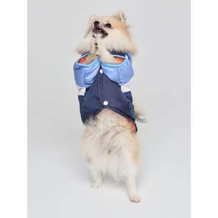 Куртка для собак PIFPAF DOG