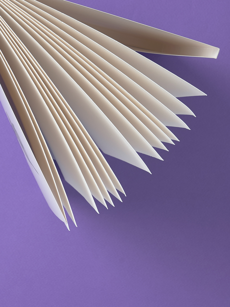 Художественная бумага, папка для рисования Малевичъ для акварели 15 лист. - фото 15