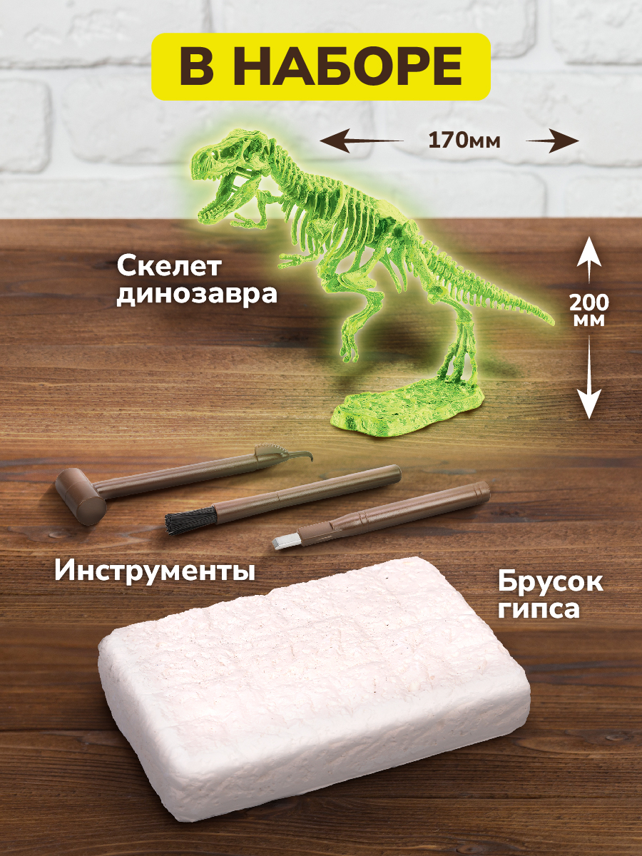Набор для раскопок ON TIME - фото 3