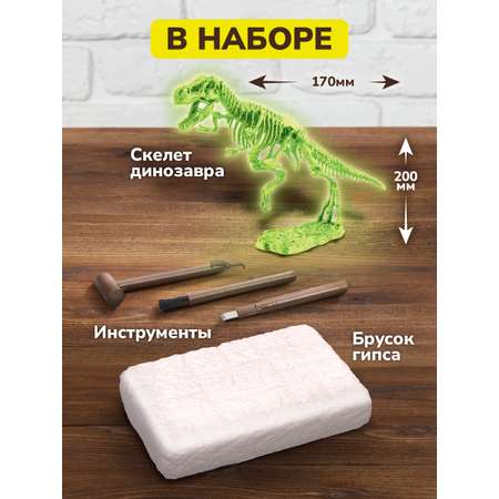 Набор для раскопок ON TIME