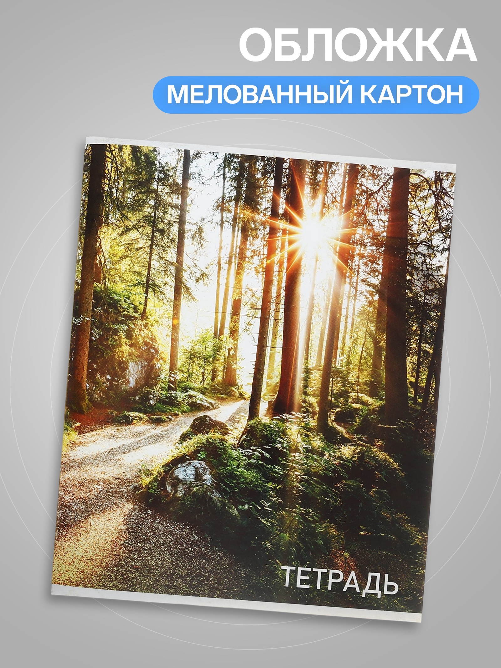 Тетрадь Calligrata клетка - фото 3