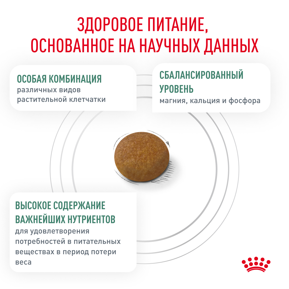 Корм для собак Royal Canin 3кг полнорационный для взрослых собак мелких пород для снижения веса - фото 4