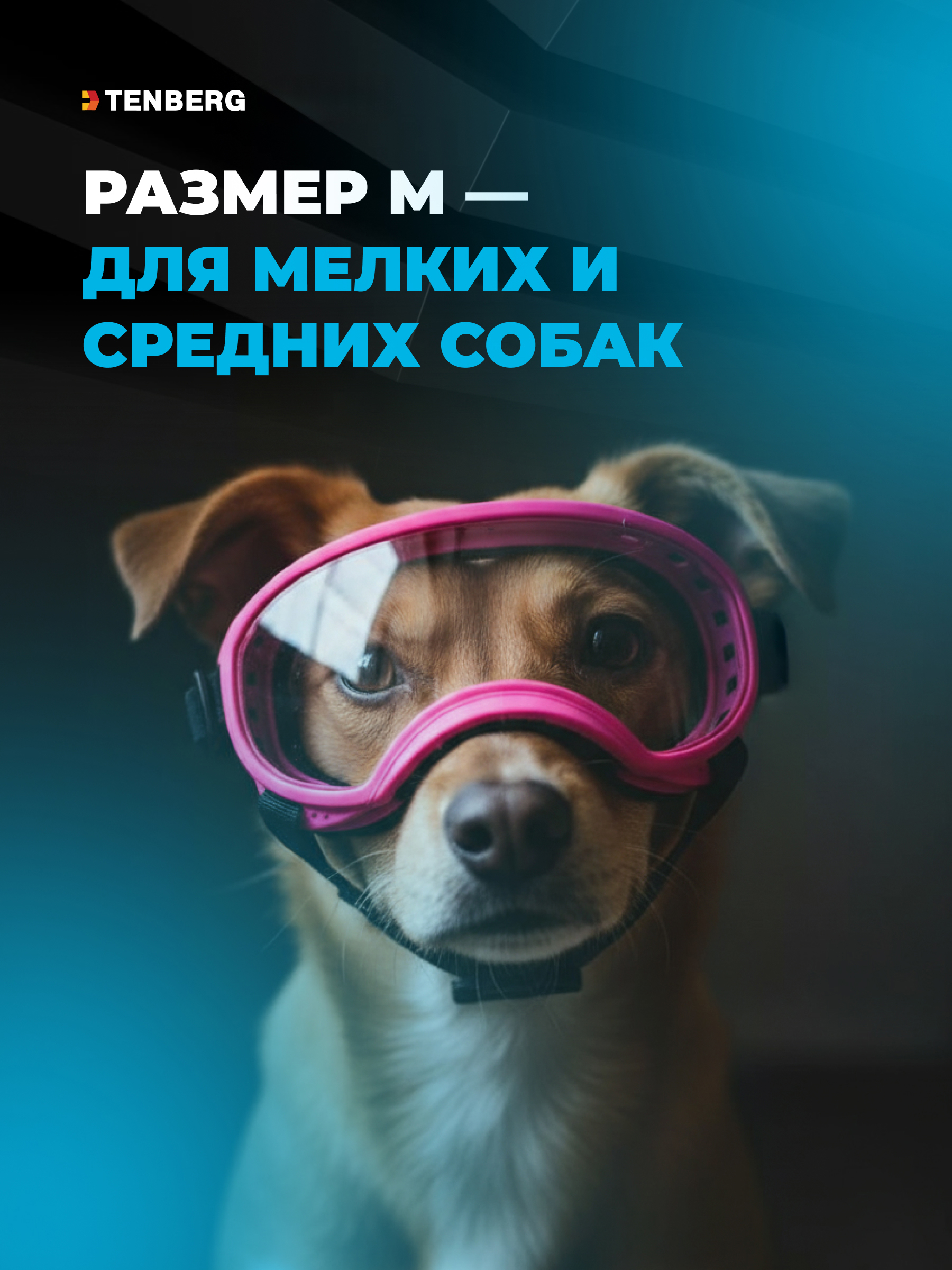 Солнцезащитные очки для собак TENBERG Sky Vision Mini Pink - фото 2