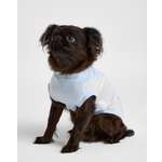 Изображение товара Футболка для собак и кошек Зоозавр: S