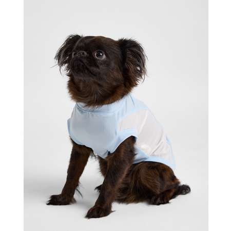 Футболка для собак и кошек Зоозавр