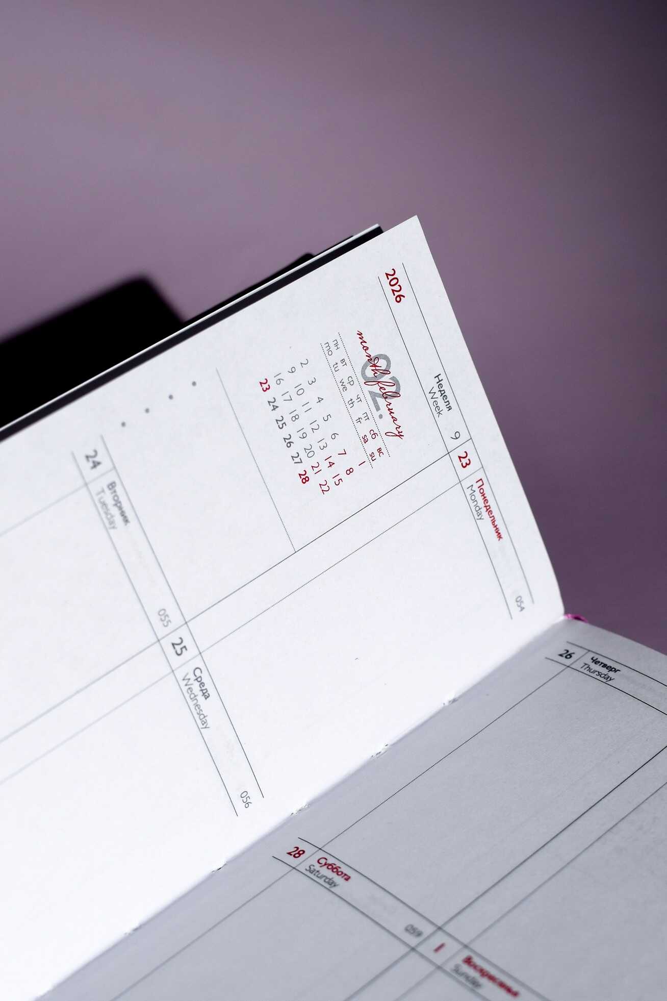 Ежедневник Феникс + ESCALADA 64 лист. - фото 19