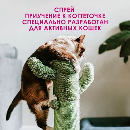 Спрей для кошек ZOORIK приучение к когтеточке 250 мл