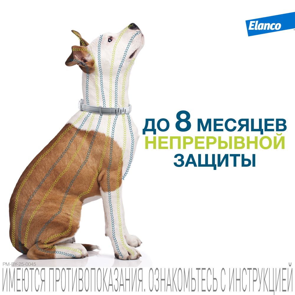 Ошейник для собак Elanco Foresto менее 8кг от блох и клещей защита 8месяцев 38см 65231 - фото 7